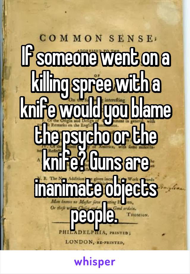 If someone went on a killing spree with a knife would you blame the psycho or the knife? Guns are inanimate objects people. 