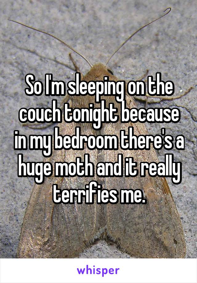 So I'm sleeping on the couch tonight because in my bedroom there's a huge moth and it really terrifies me.