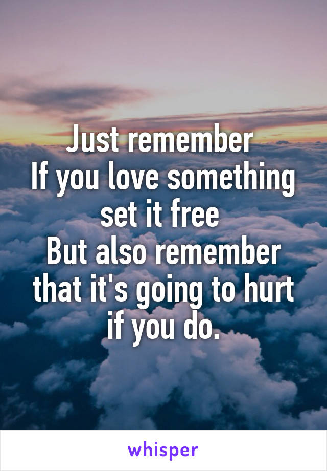 Just remember 
If you love something set it free 
But also remember that it's going to hurt if you do.