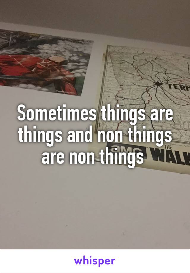 Sometimes things are things and non things are non things 