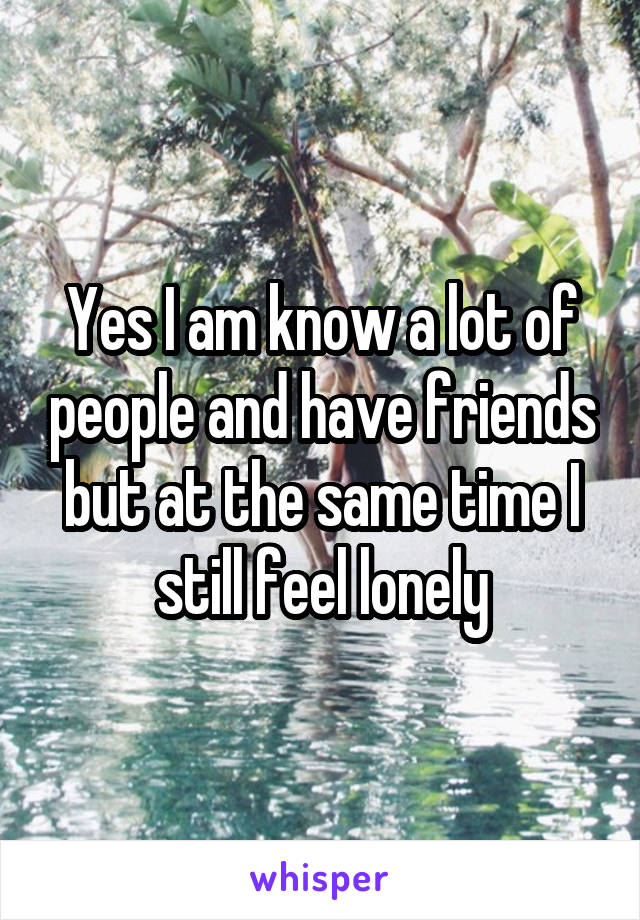 Yes I am know a lot of people and have friends but at the same time I still feel lonely