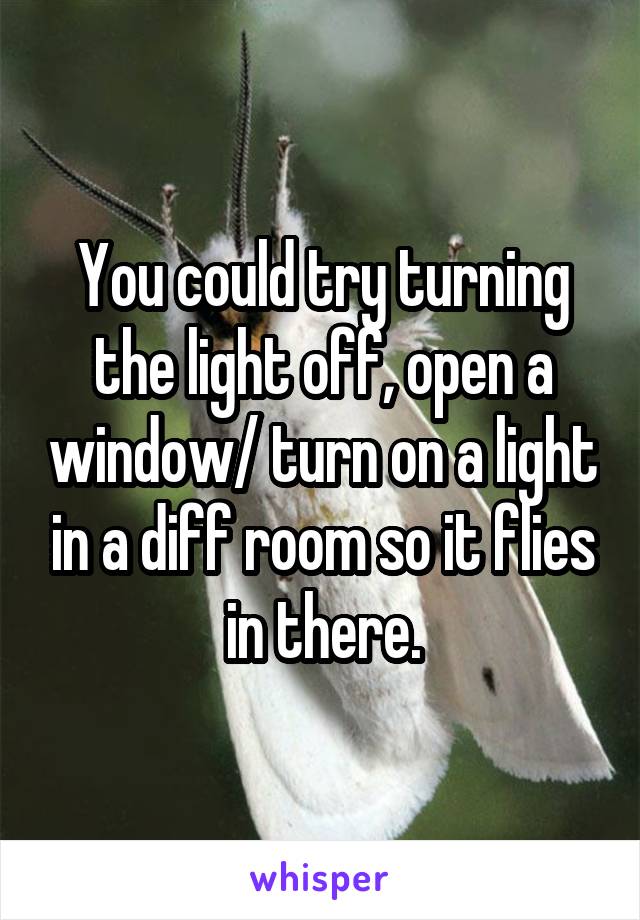 You could try turning the light off, open a window/ turn on a light in a diff room so it flies in there.