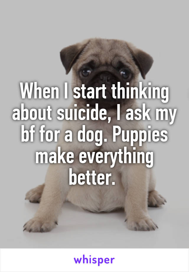 When I start thinking about suicide, I ask my bf for a dog. Puppies make everything better. 