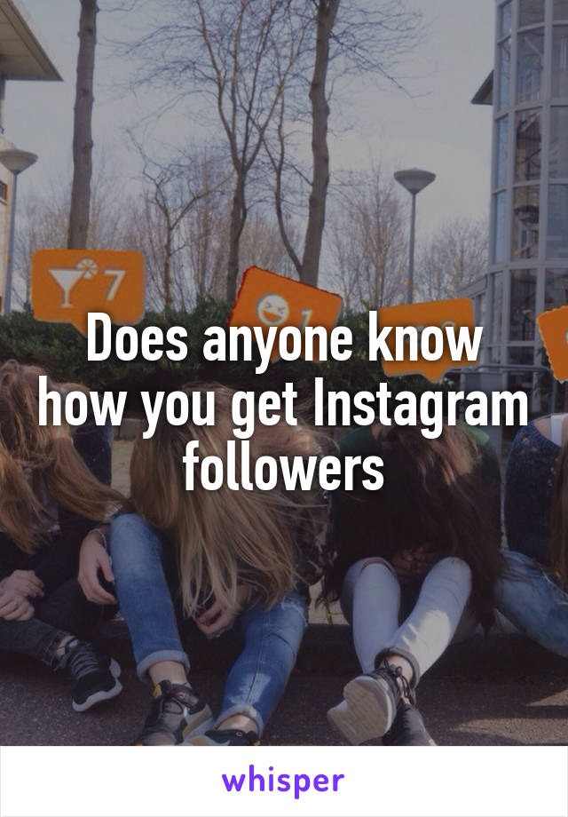 Does anyone know how you get Instagram followers