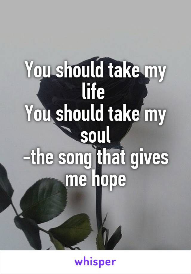 You should take my life 
You should take my soul
-the song that gives me hope
