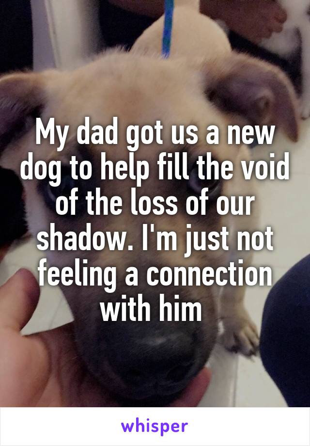 My dad got us a new dog to help fill the void of the loss of our shadow. I'm just not feeling a connection with him 