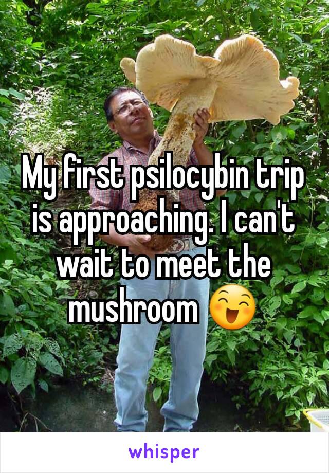 My first psilocybin trip is approaching. I can't wait to meet the mushroom 😄