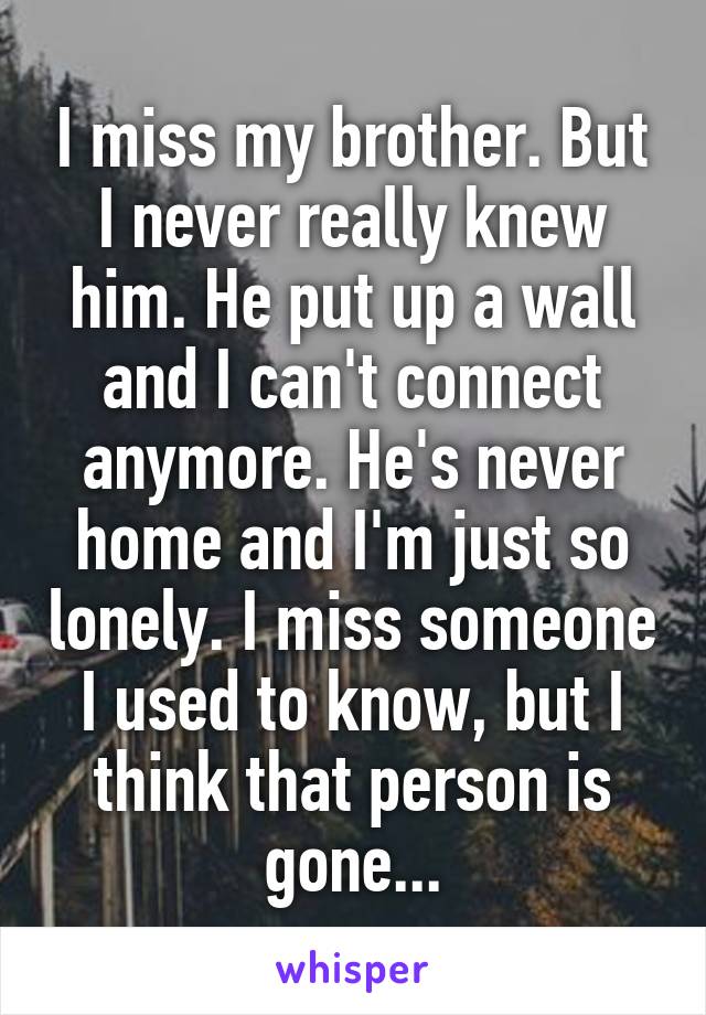 I miss my brother. But I never really knew him. He put up a wall and I can't connect anymore. He's never home and I'm just so lonely. I miss someone I used to know, but I think that person is gone...