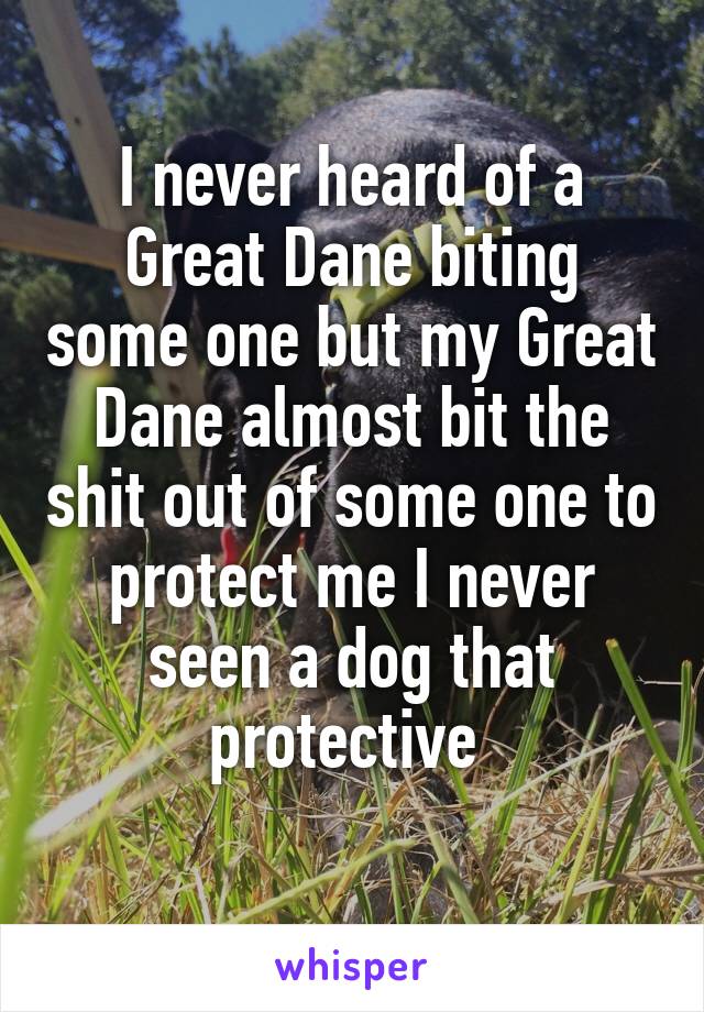 I never heard of a Great Dane biting some one but my Great Dane almost bit the shit out of some one to protect me I never seen a dog that protective 
