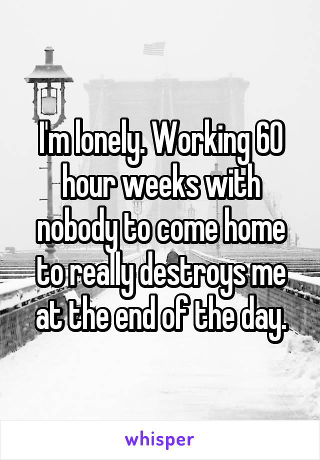 I'm lonely. Working 60 hour weeks with nobody to come home to really destroys me at the end of the day.