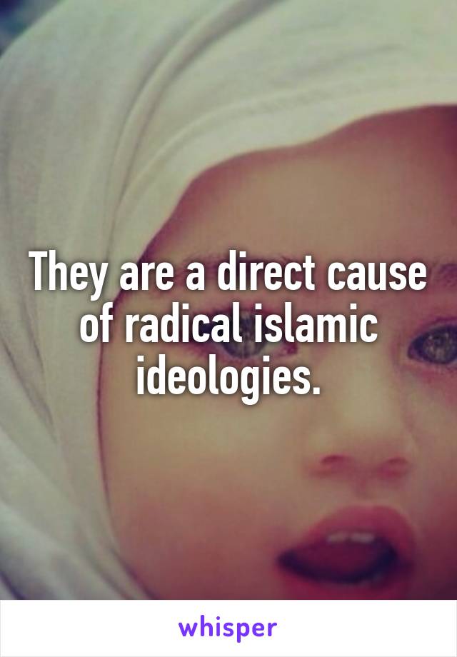 They are a direct cause of radical islamic ideologies.