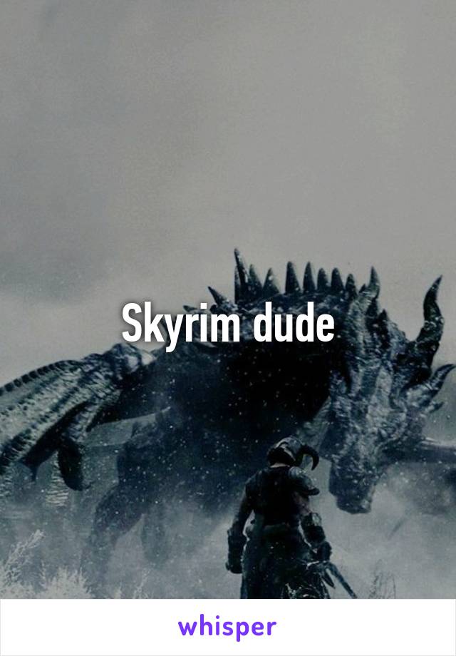 Skyrim dude