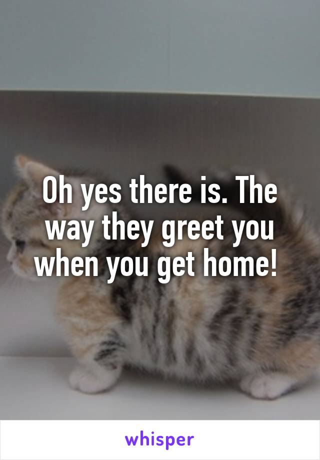 Oh yes there is. The way they greet you when you get home! 