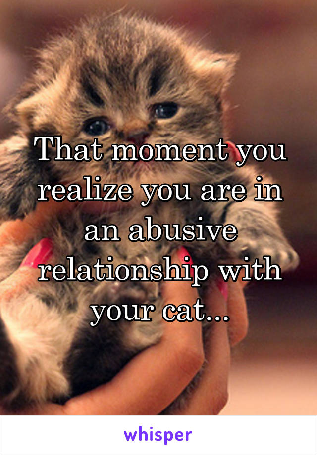 That moment you realize you are in an abusive relationship with your cat...