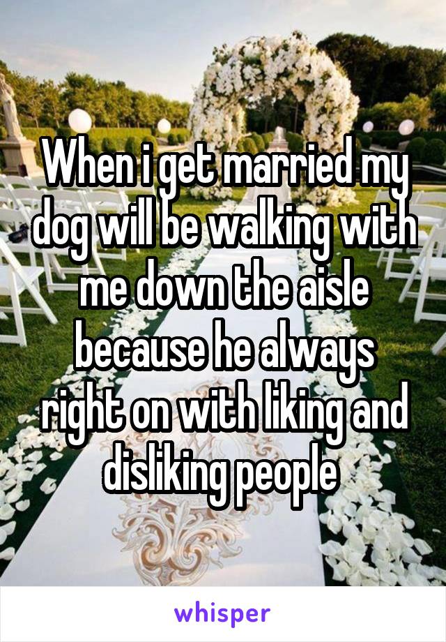 When i get married my dog will be walking with me down the aisle because he always right on with liking and disliking people 