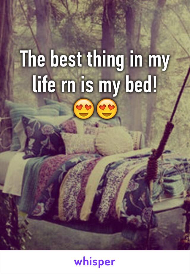 The best thing in my life rn is my bed!
😍😍