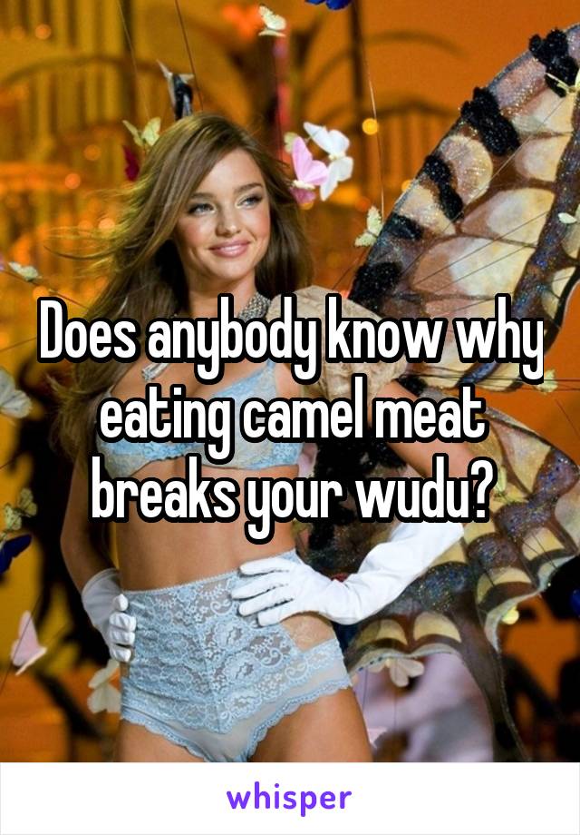 Does anybody know why eating camel meat breaks your wudu?