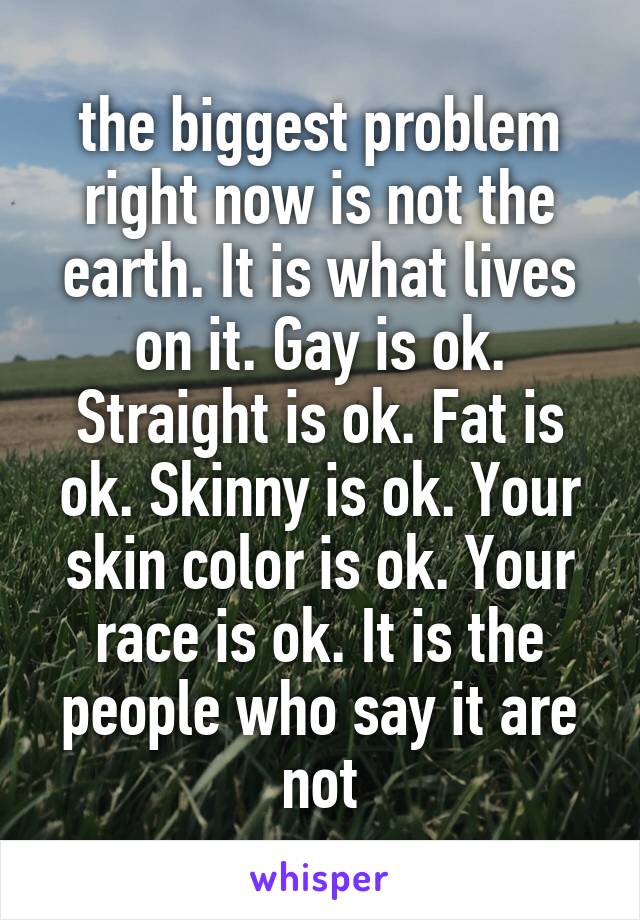 the biggest problem right now is not the earth. It is what lives on it. Gay is ok. Straight is ok. Fat is ok. Skinny is ok. Your skin color is ok. Your race is ok. It is the people who say it are not