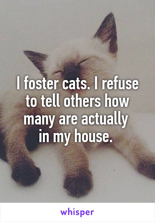 I foster cats. I refuse to tell others how many are actually 
in my house. 