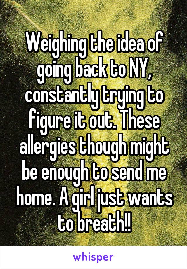 Weighing the idea of going back to NY, constantly trying to figure it out. These allergies though might be enough to send me home. A girl just wants to breath!!