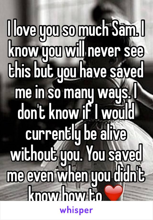 I love you so much Sam. I know you will never see this but you have saved me in so many ways. I don't know if I would currently be alive without you. You saved me even when you didn't know how to❤️