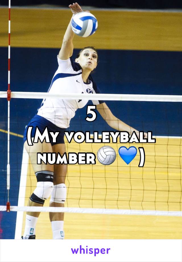 5 
(My volleyball number🏐💙)