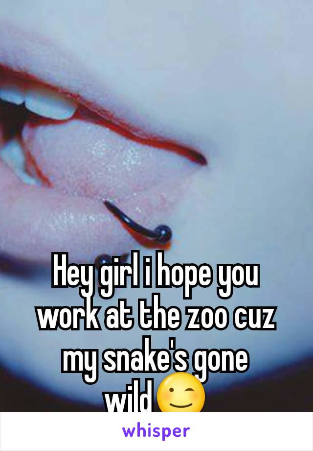 Hey girl i hope you work at the zoo cuz my snake's gone wild😉