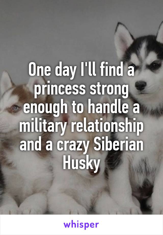 One day I'll find a princess strong enough to handle a military relationship and a crazy Siberian Husky