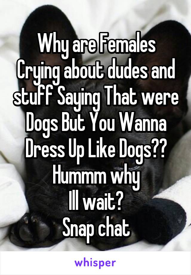 Why are Females
Crying about dudes and stuff Saying That were Dogs But You Wanna Dress Up Like Dogs??
Hummm why
Ill wait?
Snap chat