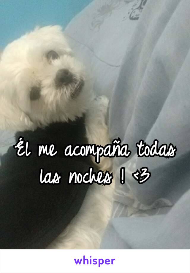 Él me acompaña todas las noches ! <3