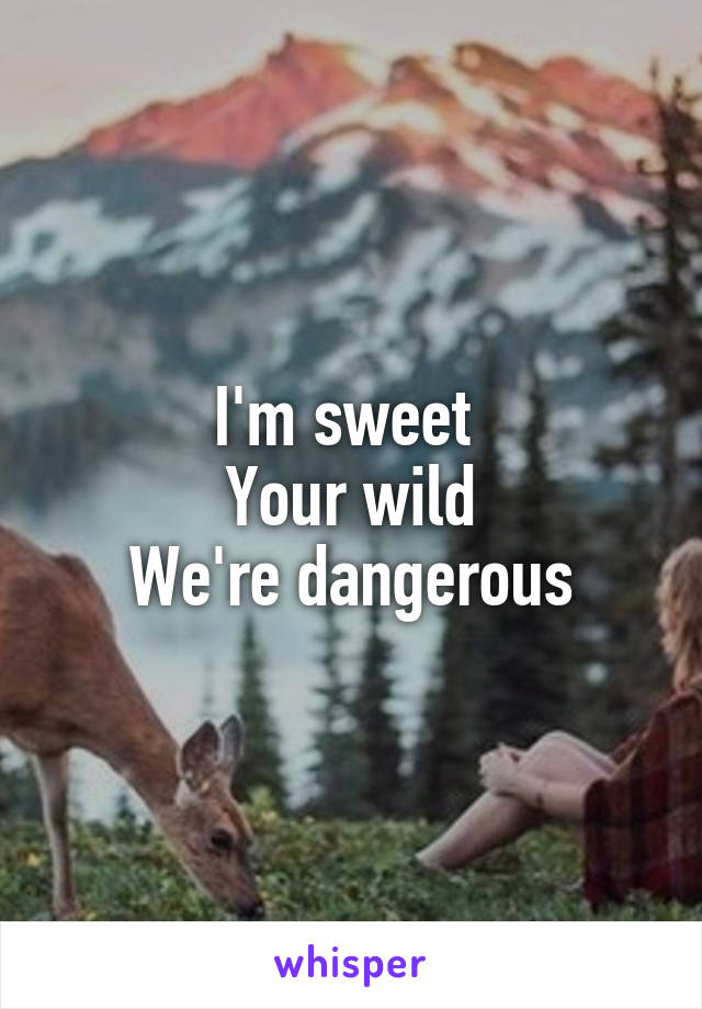 I'm sweet 
Your wild
We're dangerous