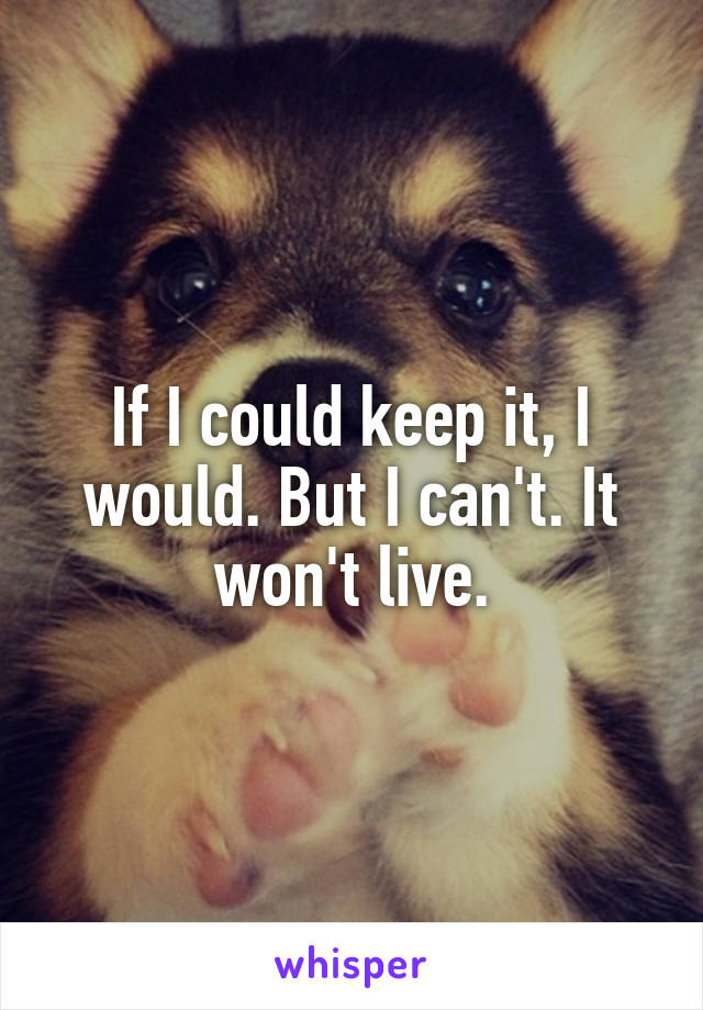 If I could keep it, I would. But I can't. It won't live.