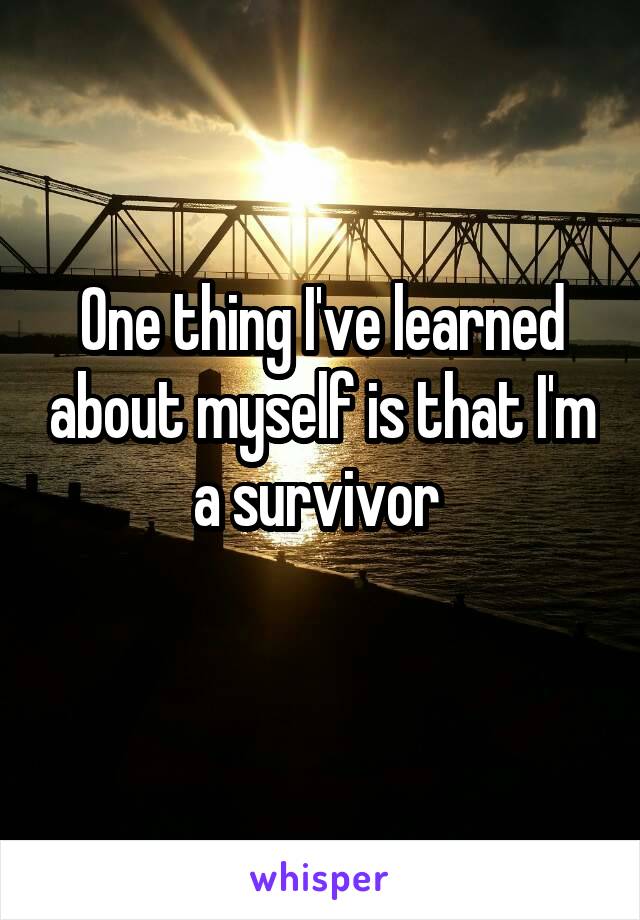 One thing I've learned about myself is that I'm a survivor 
