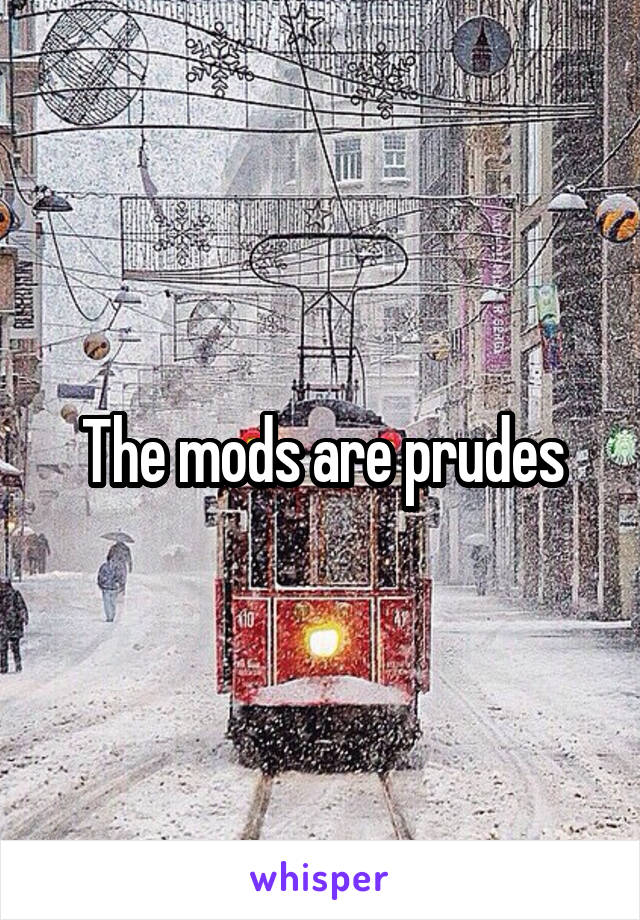 The mods are prudes