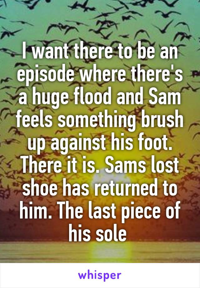 I want there to be an episode where there's a huge flood and Sam feels something brush up against his foot. There it is. Sams lost shoe has returned to him. The last piece of his sole 