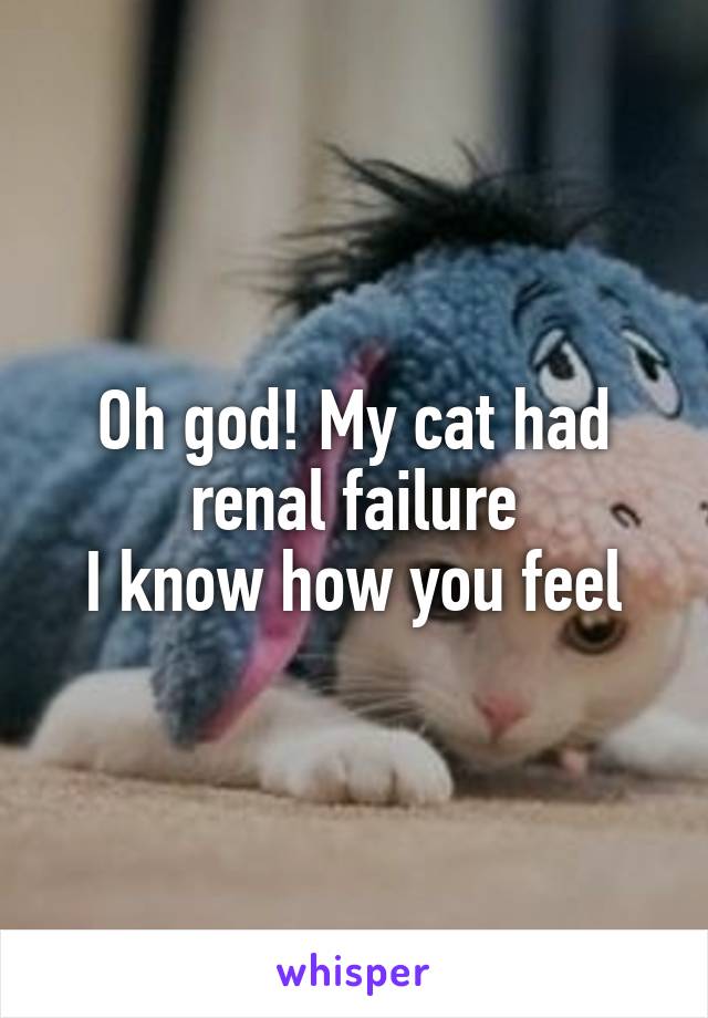 Oh god! My cat had renal failure
I know how you feel