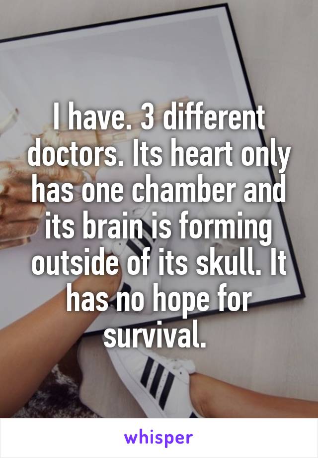 I have. 3 different doctors. Its heart only has one chamber and its brain is forming outside of its skull. It has no hope for survival. 