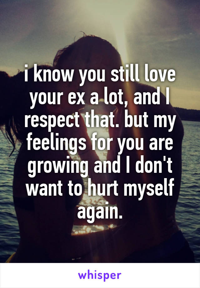 i know you still love your ex a lot, and I respect that. but my feelings for you are growing and I don't want to hurt myself again.