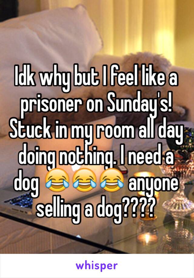 Idk why but I feel like a prisoner on Sunday's! Stuck in my room all day doing nothing. I need a dog 😂😂😂 anyone selling a dog???? 