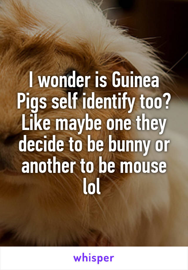 I wonder is Guinea Pigs self identify too? Like maybe one they decide to be bunny or another to be mouse lol 