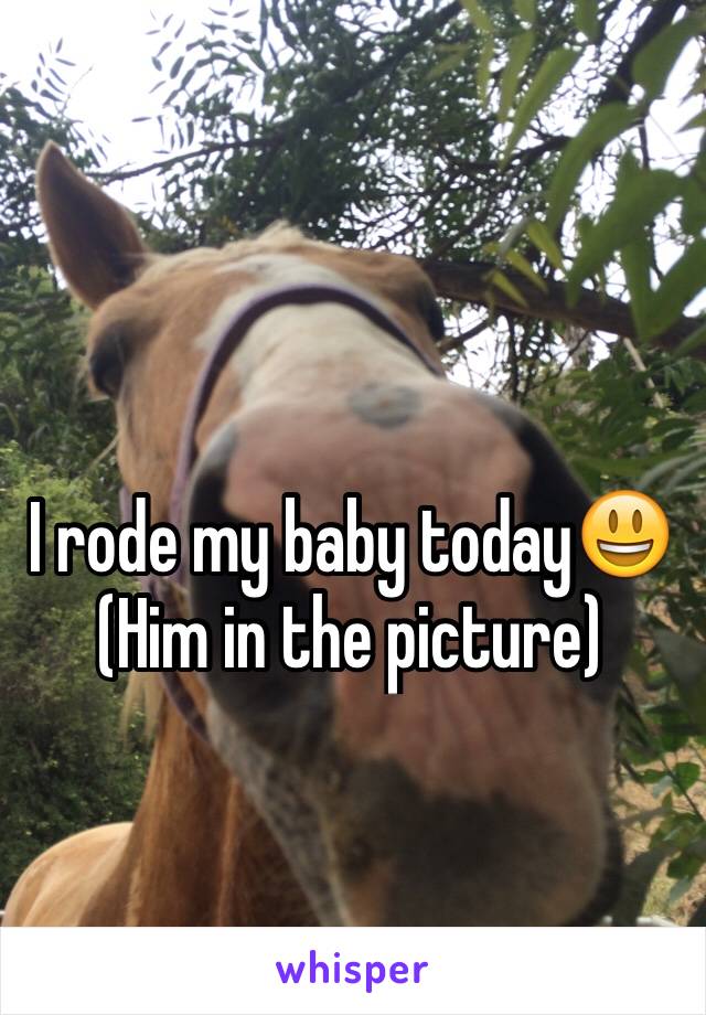 I rode my baby today😃
(Him in the picture)