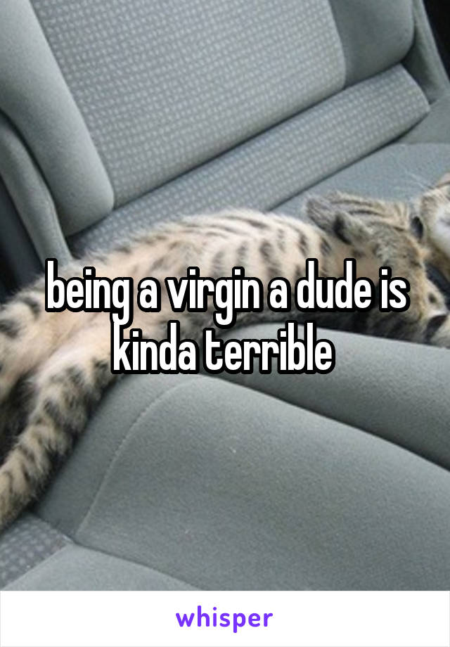 being a virgin a dude is kinda terrible 