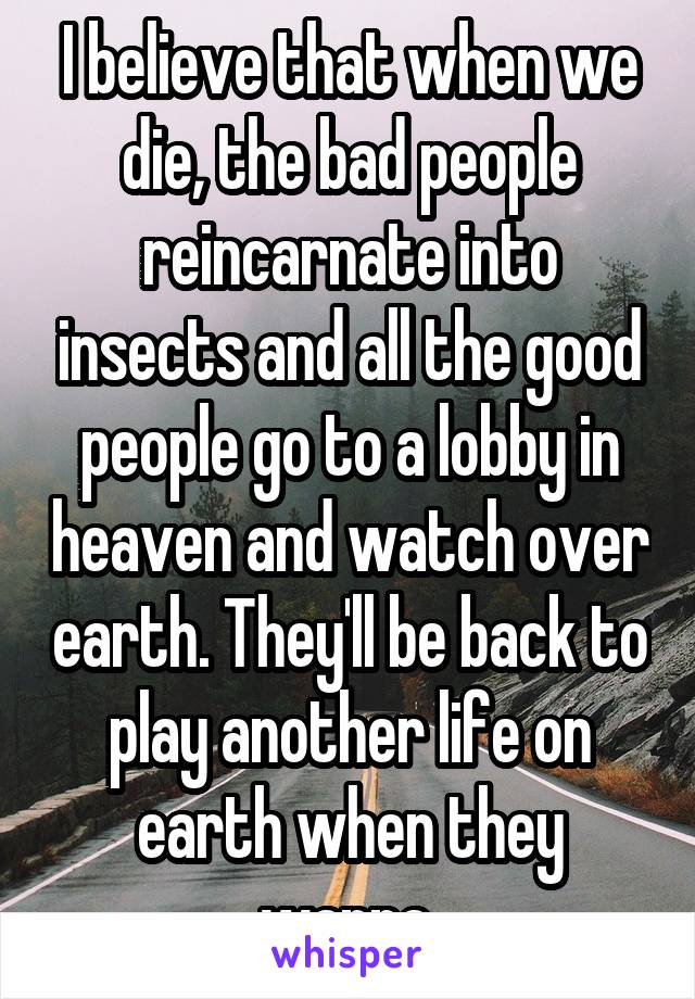 I believe that when we die, the bad people reincarnate into insects and all the good people go to a lobby in heaven and watch over earth. They'll be back to play another life on earth when they wanna.