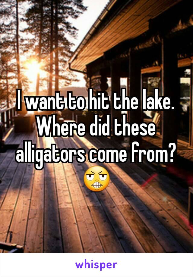 I want to hit the lake. Where did these alligators come from? 😬