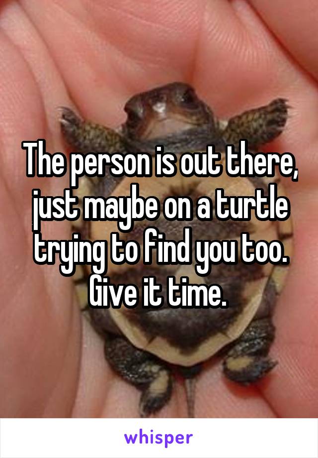 The person is out there, just maybe on a turtle trying to find you too. Give it time. 