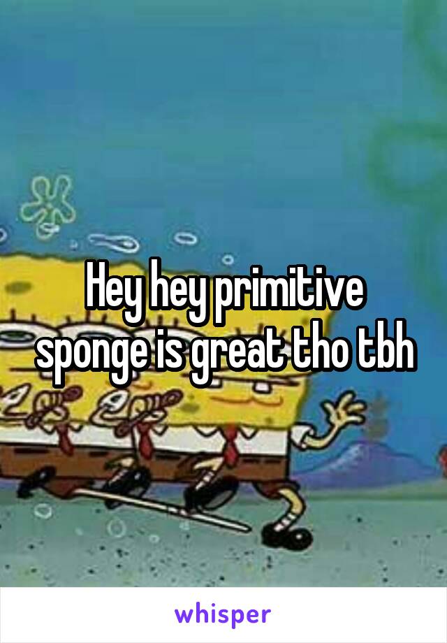 Hey hey primitive sponge is great tho tbh