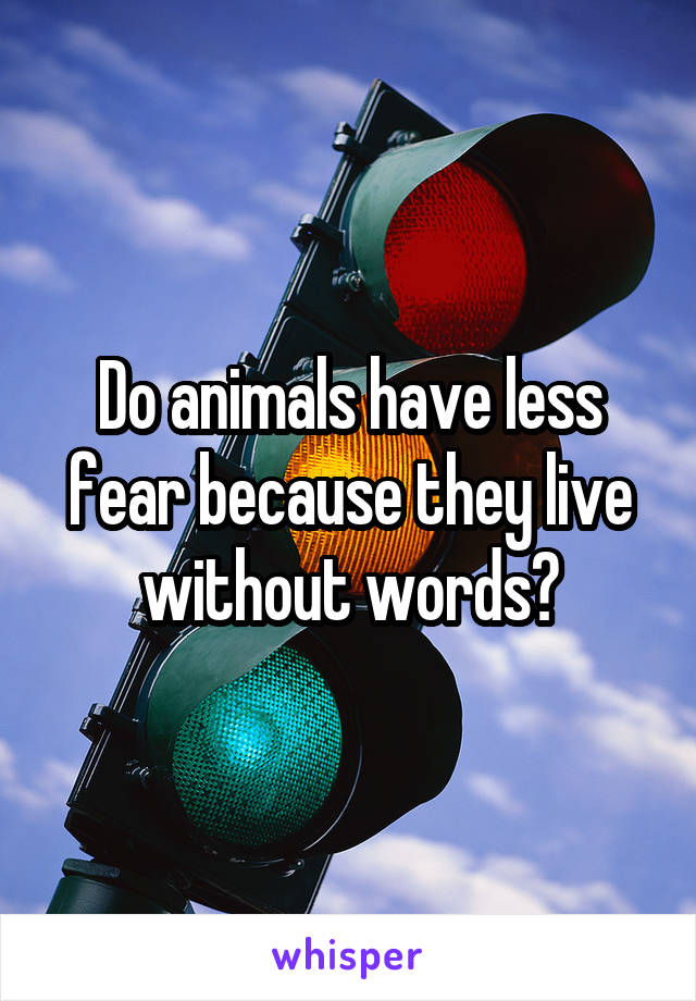 Do animals have less fear because they live without words?