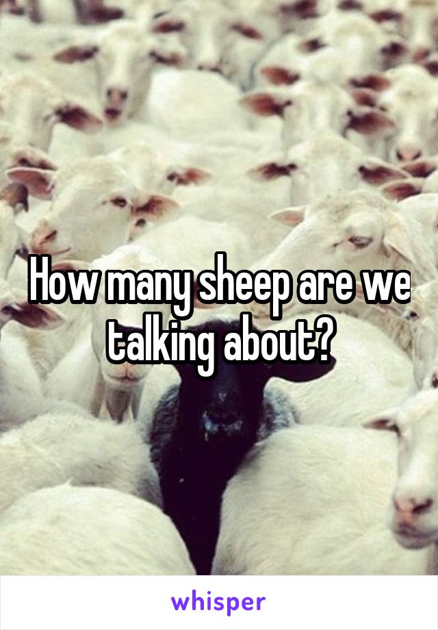 How many sheep are we talking about?