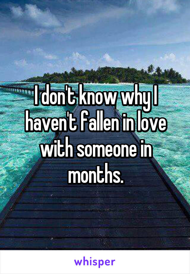 I don't know why I haven't fallen in love with someone in months.