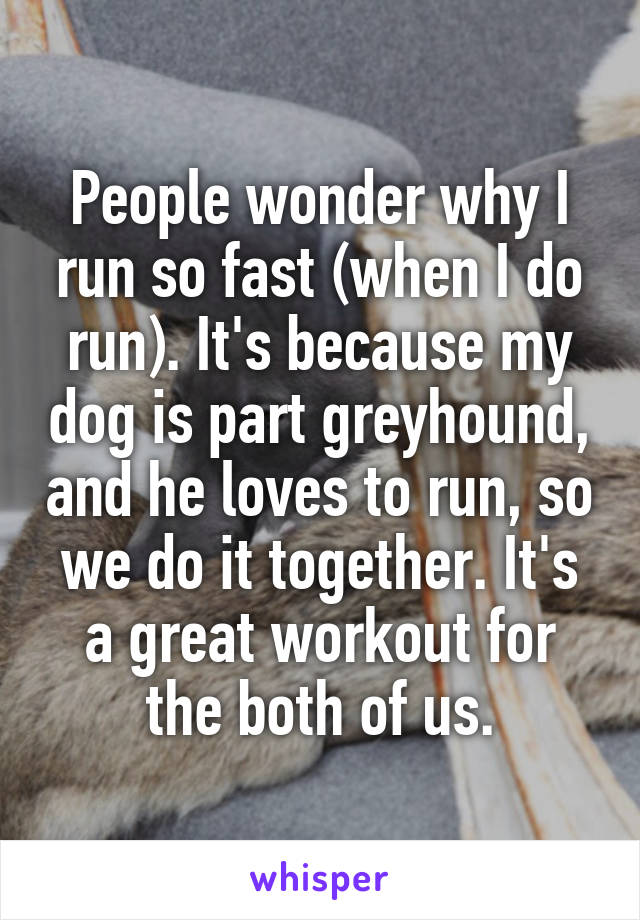 People wonder why I run so fast (when I do run). It's because my dog is part greyhound, and he loves to run, so we do it together. It's a great workout for the both of us.